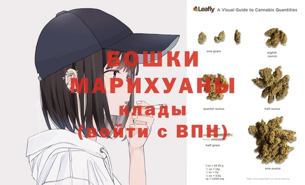 стаф Богородицк