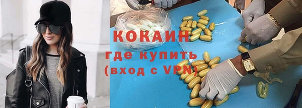 стаф Богородицк