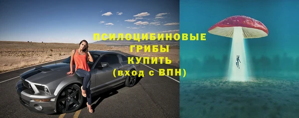 бошки Богородск