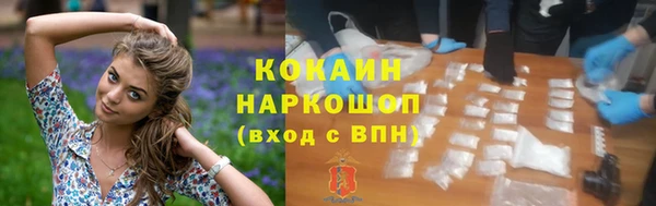 стаф Богородицк