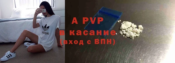 стаф Богородицк