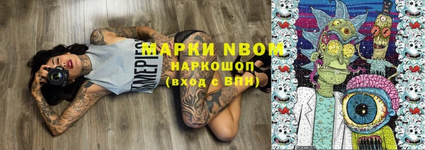 стаф Богородицк