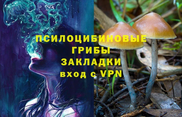 бошки Богородск
