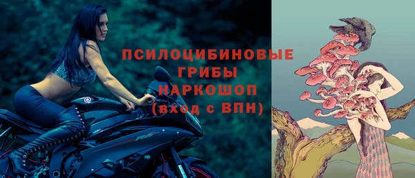 бошки Богородск