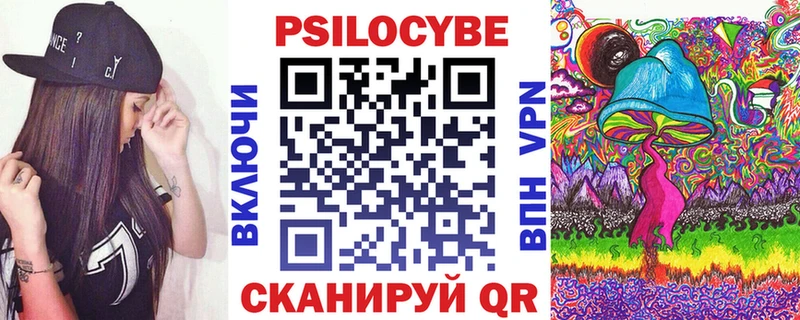 Галлюциногенные грибы Psilocybe Плёс