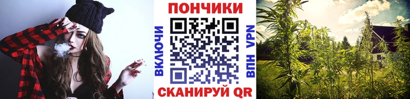 МАРИХУАНА OG Kush  цены   Плёс 